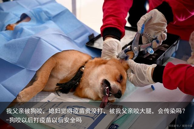 我父亲被狗咬，媳妇觉得疫苗贵没打，被我父亲咬大腿，会传染吗？-狗咬以后打疫苗以后安全吗