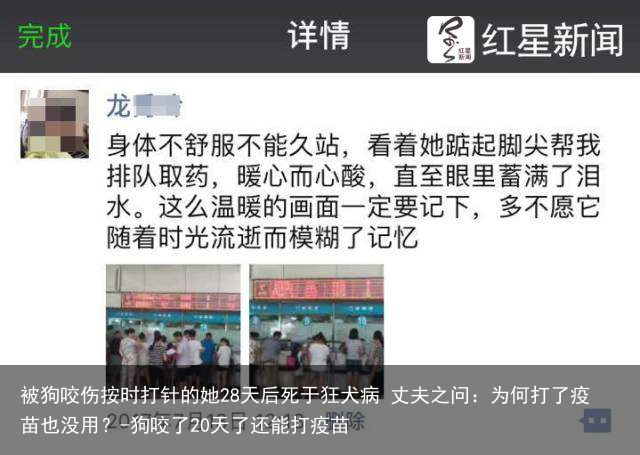 被狗咬伤按时打针的她28天后死于狂犬病 丈夫之问：为何打了疫苗也没用？-狗咬了20天了还能打疫苗