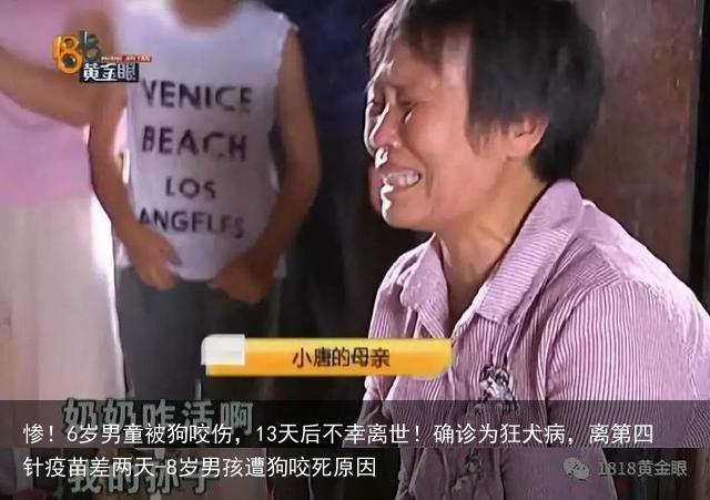 惨！6岁男童被狗咬伤，13天后不幸离世！确诊为狂犬病，离第四针疫苗差两天-8岁男孩遭狗咬死原因