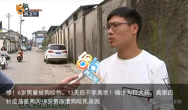 惨！6岁男童被狗咬伤，13天后不幸离世！确诊为狂犬病，离第四针疫苗差两天-8岁男孩遭狗咬死原因