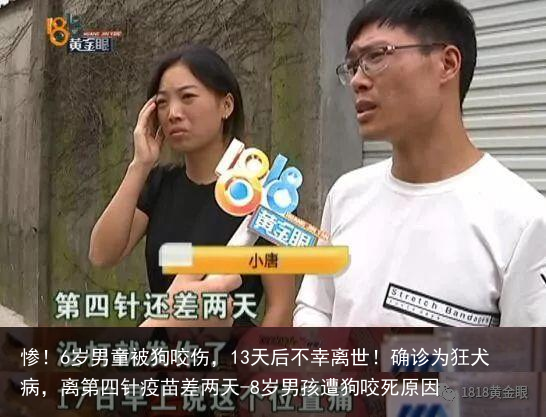 惨！6岁男童被狗咬伤，13天后不幸离世！确诊为狂犬病，离第四针疫苗差两天-8岁男孩遭狗咬死原因