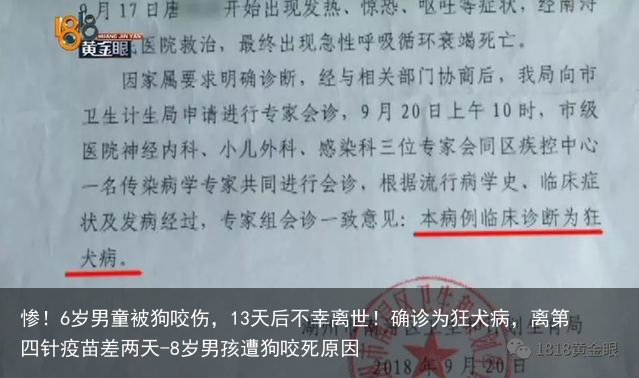 惨！6岁男童被狗咬伤，13天后不幸离世！确诊为狂犬病，离第四针疫苗差两天-8岁男孩遭狗咬死原因