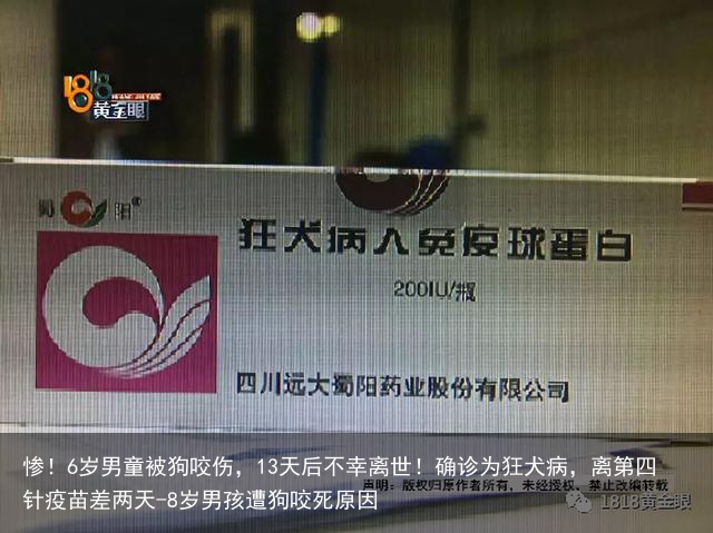 惨！6岁男童被狗咬伤，13天后不幸离世！确诊为狂犬病，离第四针疫苗差两天-8岁男孩遭狗咬死原因