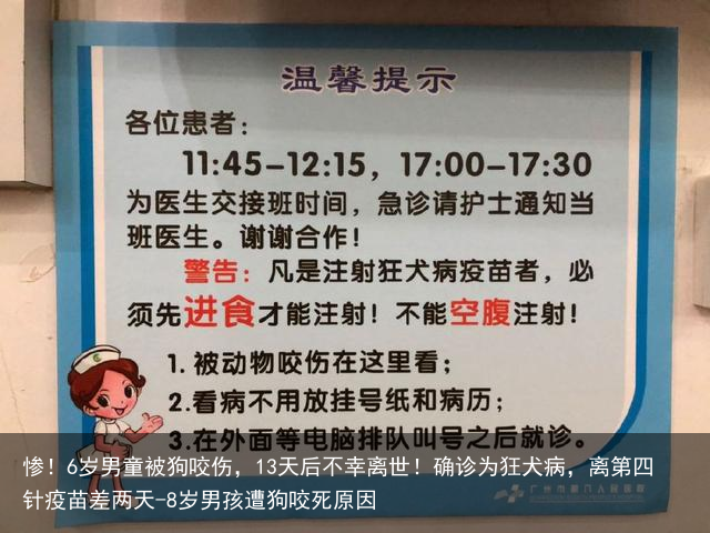 惨！6岁男童被狗咬伤，13天后不幸离世！确诊为狂犬病，离第四针疫苗差两天-8岁男孩遭狗咬死原因