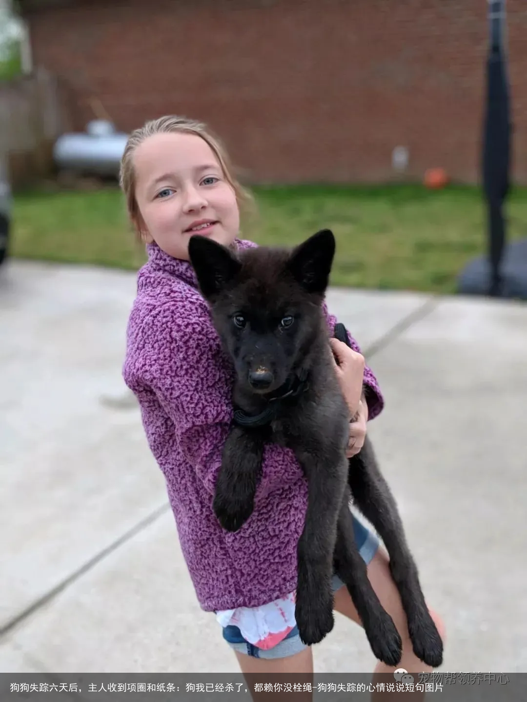 狗狗失踪六天后，主人收到项圈和纸条：狗我已经杀了，都赖你没栓绳-狗狗失踪的心情说说短句图片