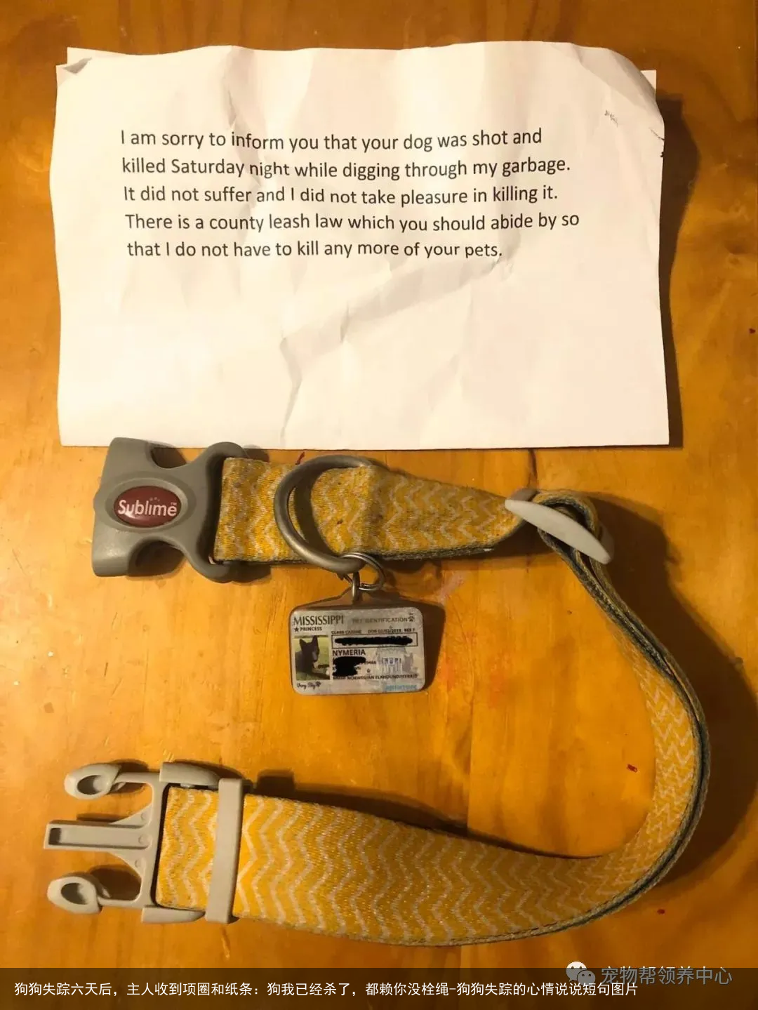 狗狗失踪六天后，主人收到项圈和纸条：狗我已经杀了，都赖你没栓绳-狗狗失踪的心情说说短句图片