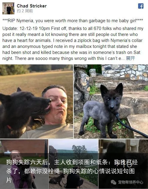 狗狗失踪六天后，主人收到项圈和纸条：狗我已经杀了，都赖你没栓绳-狗狗失踪的心情说说短句图片