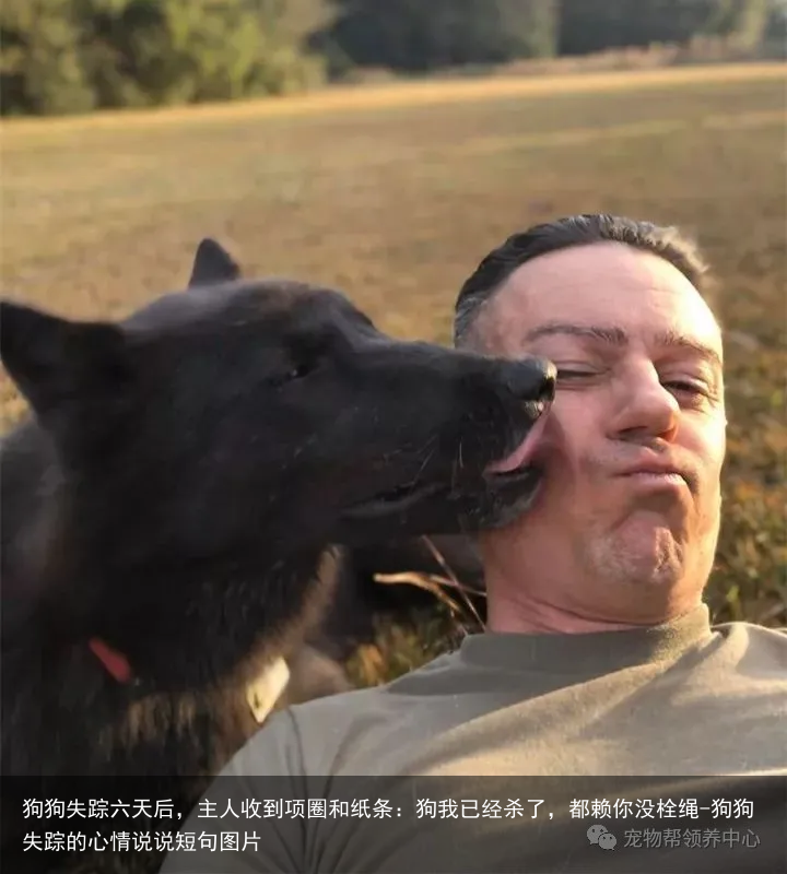 狗狗失踪六天后，主人收到项圈和纸条：狗我已经杀了，都赖你没栓绳-狗狗失踪的心情说说短句图片