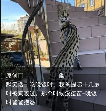 幽默笑话：吃晚饭时，我爸提起十几岁时被狗咬过，那个时候没疫苗