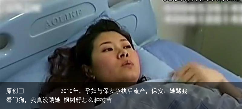 2010年，孕妇与保安争执后流产，保安：她骂我看门狗，我真没踹她