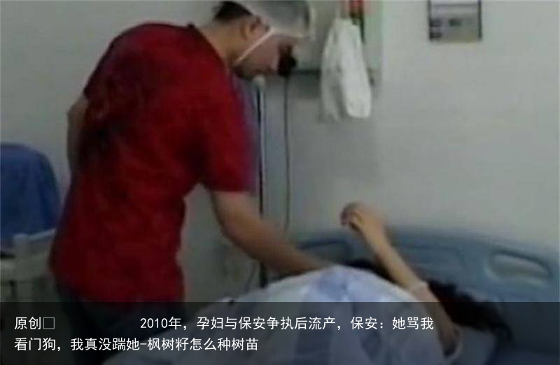 2010年，孕妇与保安争执后流产，保安：她骂我看门狗，我真没踹她