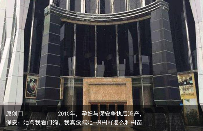 2010年，孕妇与保安争执后流产，保安：她骂我看门狗，我真没踹她