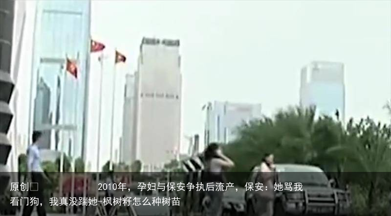 2010年，孕妇与保安争执后流产，保安：她骂我看门狗，我真没踹她