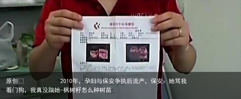 2010年，孕妇与保安争执后流产，保安：她骂我看门狗，我真没踹她