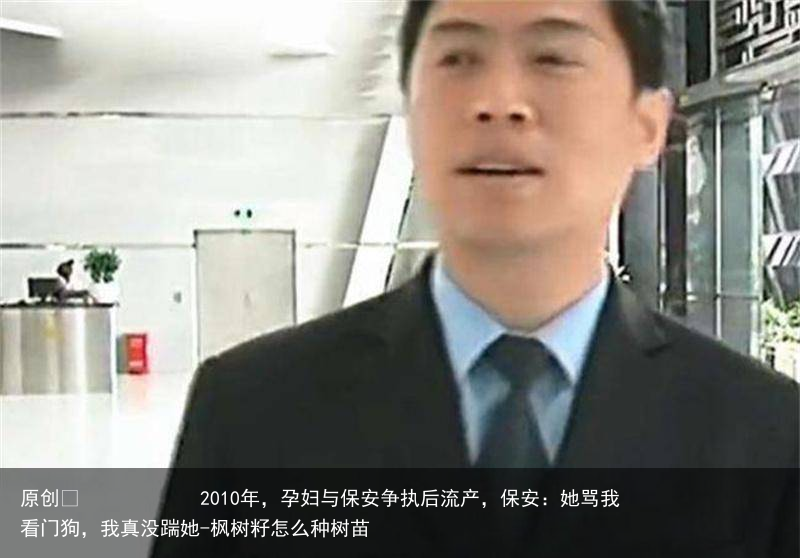 2010年，孕妇与保安争执后流产，保安：她骂我看门狗，我真没踹她