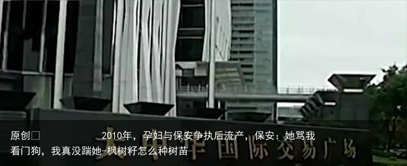 2010年，孕妇与保安争执后流产，保安：她骂我看门狗，我真没踹她