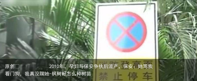 2010年，孕妇与保安争执后流产，保安：她骂我看门狗，我真没踹她