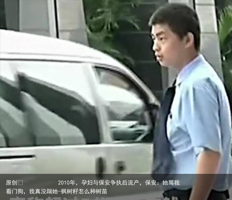 2010年，孕妇与保安争执后流产，保安：她骂我看门狗，我真没踹她