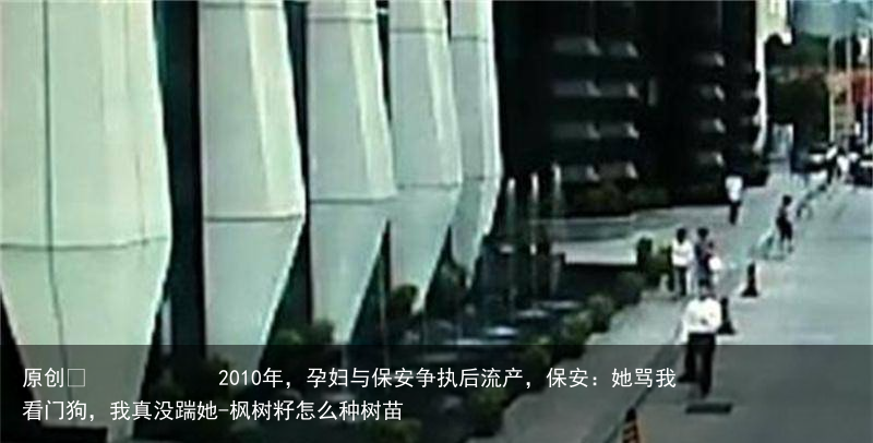 2010年，孕妇与保安争执后流产，保安：她骂我看门狗，我真没踹她