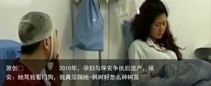 2010年，孕妇与保安争执后流产，保安：她骂我看门狗，我真没踹她