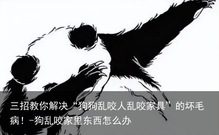 三招教你解决“狗狗乱咬人乱咬家具”的坏毛病！-狗乱咬家里东西怎么办