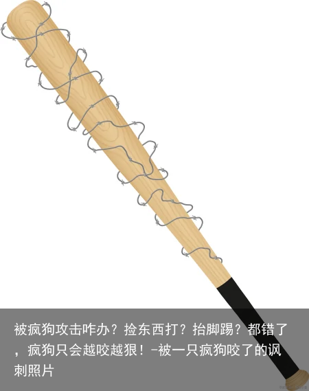 被疯狗攻击咋办？捡东西打？抬脚踢？都错了，疯狗只会越咬越狠！-被一只疯狗咬了的讽刺照片