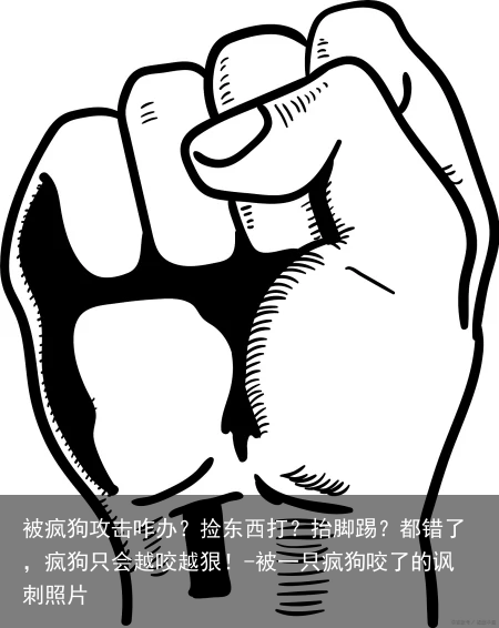 被疯狗攻击咋办？捡东西打？抬脚踢？都错了，疯狗只会越咬越狠！-被一只疯狗咬了的讽刺照片