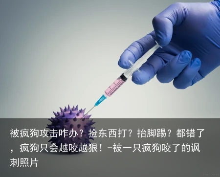 被疯狗攻击咋办？捡东西打？抬脚踢？都错了，疯狗只会越咬越狠！-被一只疯狗咬了的讽刺照片