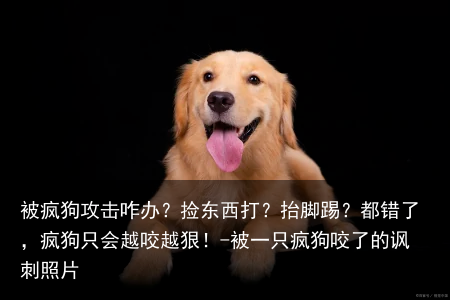 被疯狗攻击咋办？捡东西打？抬脚踢？都错了，疯狗只会越咬越狠！-被一只疯狗咬了的讽刺照片