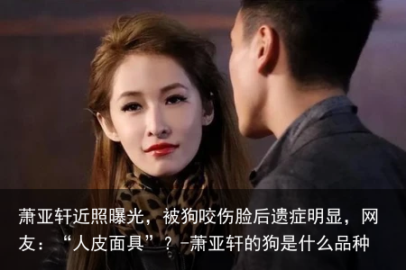 萧亚轩近照曝光，被狗咬伤脸后遗症明显，网友：“人皮面具”？-萧亚轩的狗是什么品种