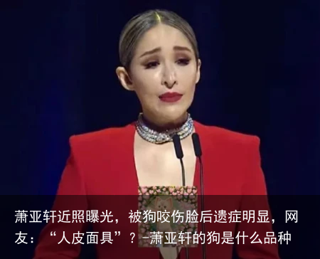 萧亚轩近照曝光，被狗咬伤脸后遗症明显，网友：“人皮面具”？-萧亚轩的狗是什么品种