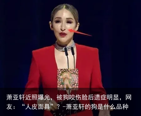 萧亚轩近照曝光，被狗咬伤脸后遗症明显，网友：“人皮面具”？-萧亚轩的狗是什么品种