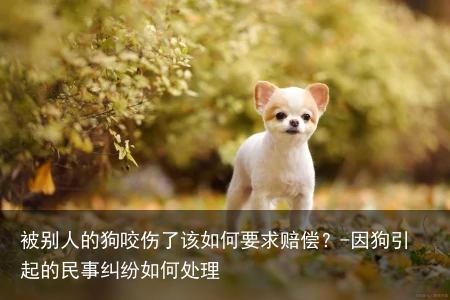 被别人的狗咬伤了该如何要求赔偿？-因狗引起的民事纠纷如何处理
