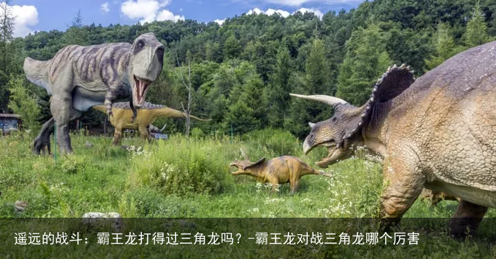 遥远的战斗：霸王龙打得过三角龙吗？-霸王龙对战三角龙哪个厉害