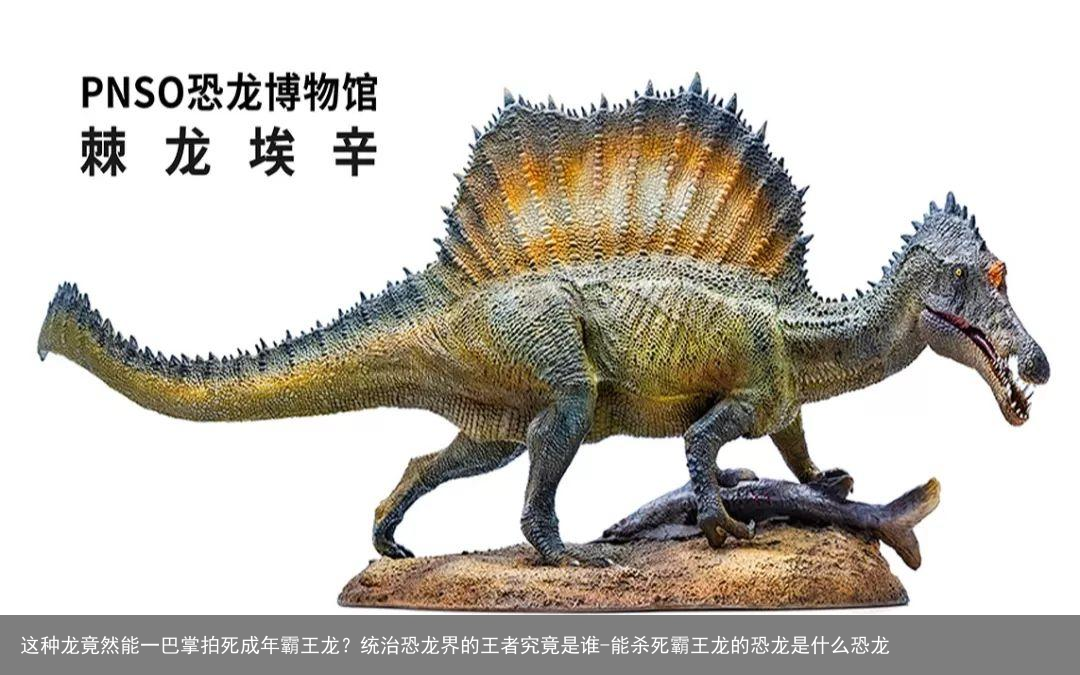 这种龙竟然能一巴掌拍死成年霸王龙？统治恐龙界的王者究竟是谁-能杀死霸王龙的恐龙是什么恐龙