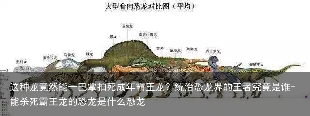 这种龙竟然能一巴掌拍死成年霸王龙？统治恐龙界的王者究竟是谁-能杀死霸王龙的恐龙是什么恐龙