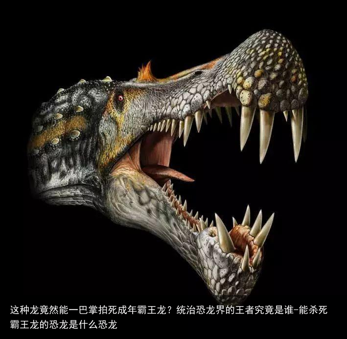 这种龙竟然能一巴掌拍死成年霸王龙？统治恐龙界的王者究竟是谁-能杀死霸王龙的恐龙是什么恐龙