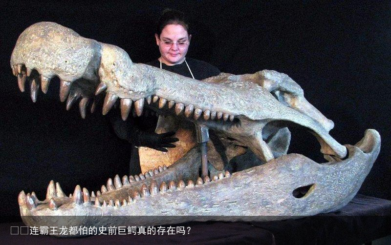 ​​连霸王龙都怕的史前巨鳄真的存在吗？
