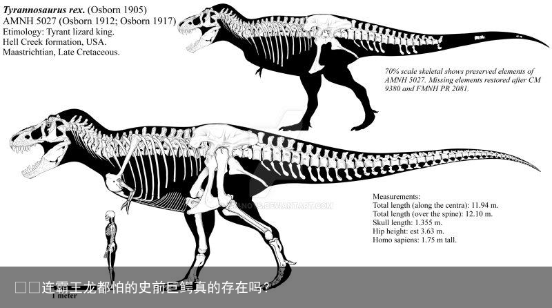 ​​连霸王龙都怕的史前巨鳄真的存在吗？