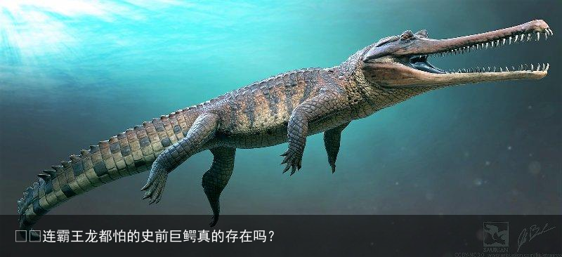 ​​连霸王龙都怕的史前巨鳄真的存在吗？