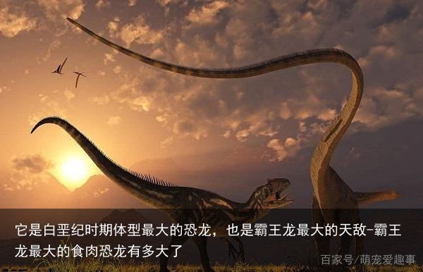 它是白垩纪时期体型最大的恐龙，也是霸王龙最大的天敌-霸王龙最大的食肉恐龙有多大了