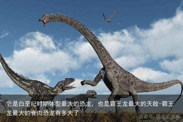 它是白垩纪时期体型最大的恐龙，也是霸王龙最大的天敌-霸王龙最大的食肉恐龙有多大了