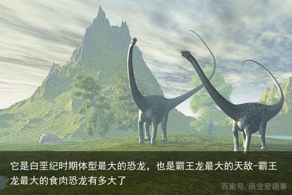 它是白垩纪时期体型最大的恐龙，也是霸王龙最大的天敌-霸王龙最大的食肉恐龙有多大了
