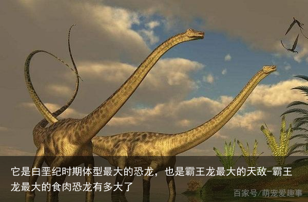 它是白垩纪时期体型最大的恐龙，也是霸王龙最大的天敌-霸王龙最大的食肉恐龙有多大了