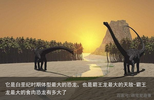 它是白垩纪时期体型最大的恐龙，也是霸王龙最大的天敌-霸王龙最大的食肉恐龙有多大了