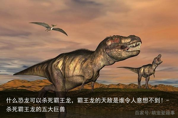 什么恐龙可以杀死霸王龙，霸王龙的天敌是谁令人意想不到！-杀死霸王龙的五大巨兽