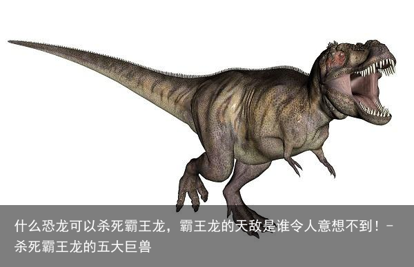 什么恐龙可以杀死霸王龙，霸王龙的天敌是谁令人意想不到！-杀死霸王龙的五大巨兽