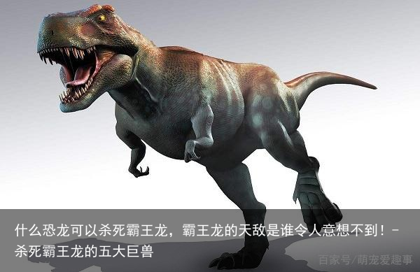 什么恐龙可以杀死霸王龙，霸王龙的天敌是谁令人意想不到！-杀死霸王龙的五大巨兽
