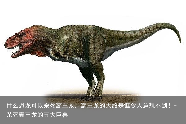 什么恐龙可以杀死霸王龙，霸王龙的天敌是谁令人意想不到！-杀死霸王龙的五大巨兽