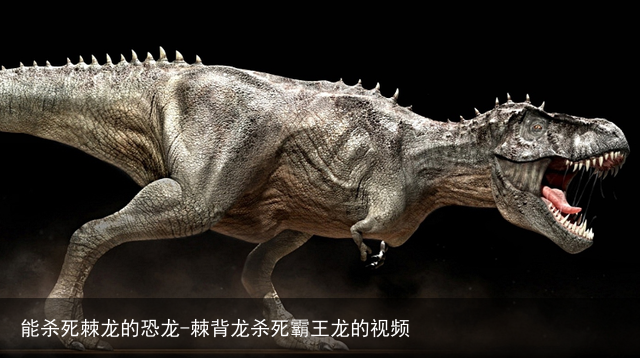 能杀死棘龙的恐龙-棘背龙杀死霸王龙的视频